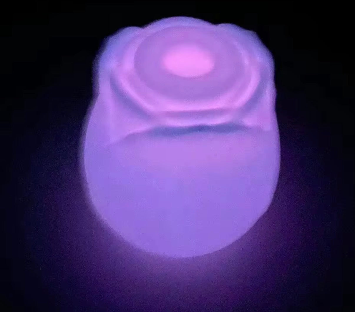 Pink (Glow in the Pink) Rose Vibrator